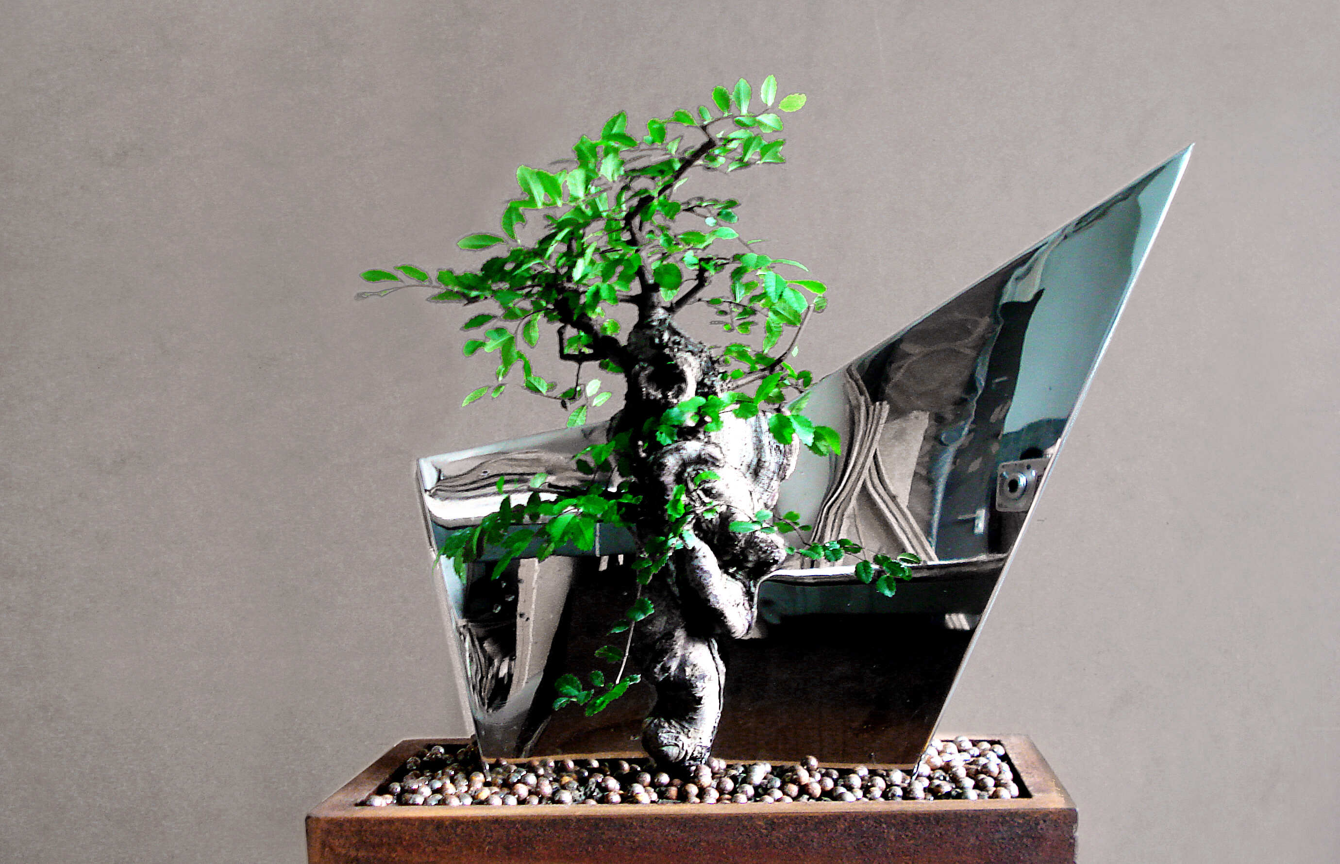 辰07ʣ֣ߴ磺35cmX35cmX50cm2005
