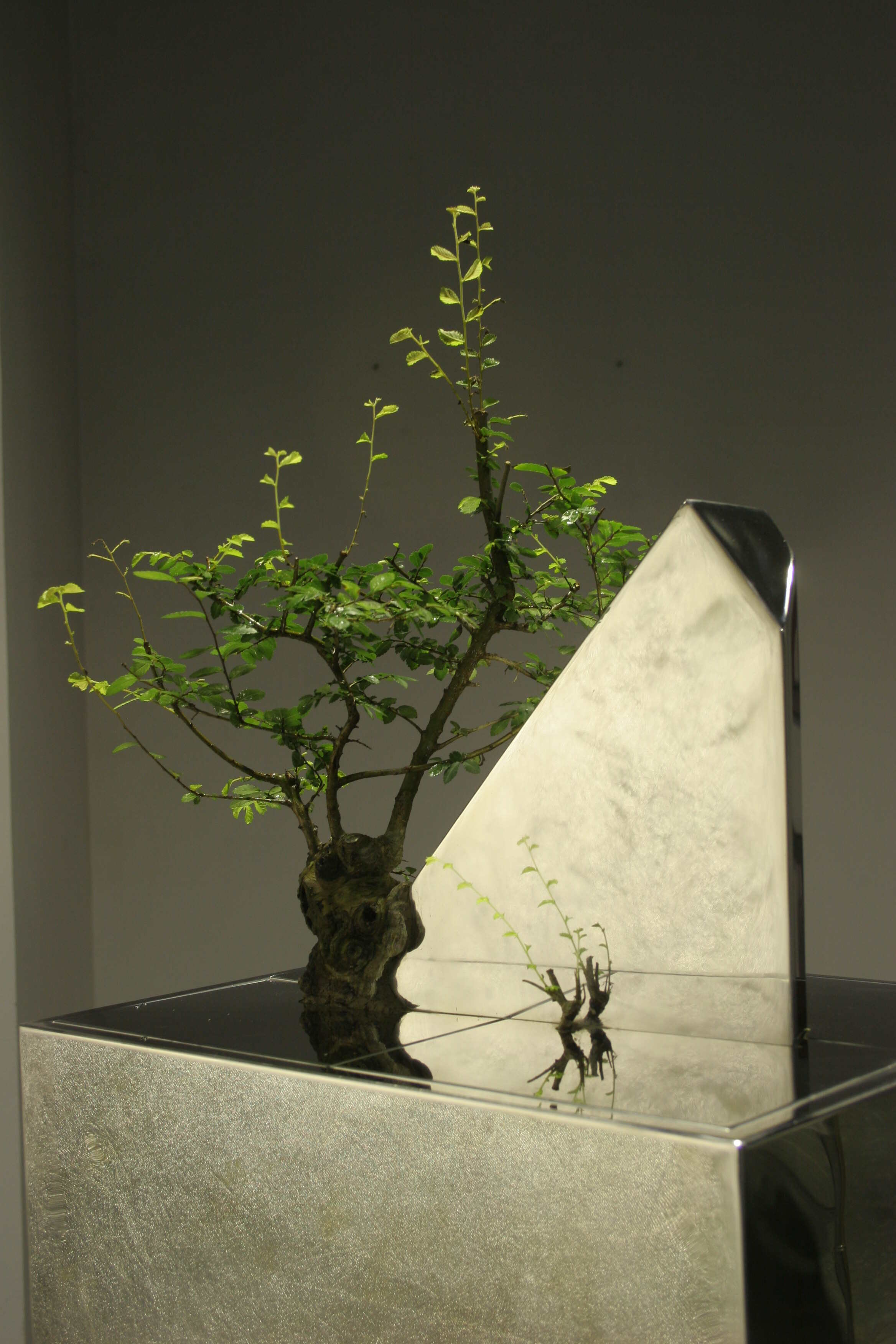 辰02ʣ֣ߴ磺35cmX35cmX50cm2005