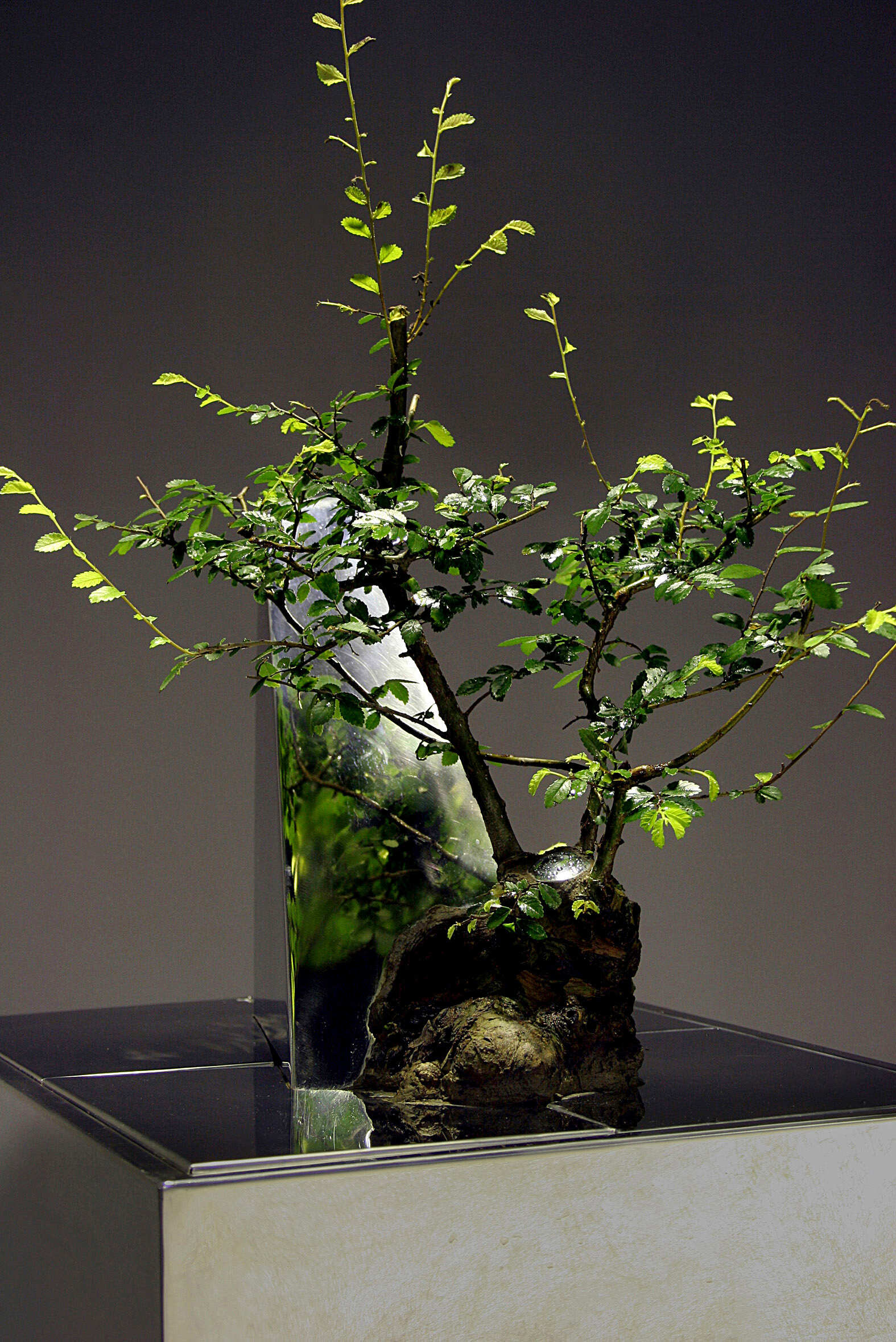 辰03ʣ֣ߴ磺35cmX35cmX50cm2005