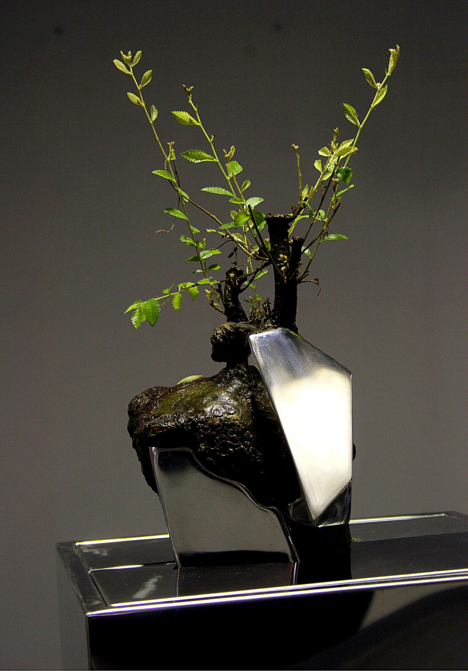 辰05ʣ֣ߴ磺35cmX35cmX50cm2005