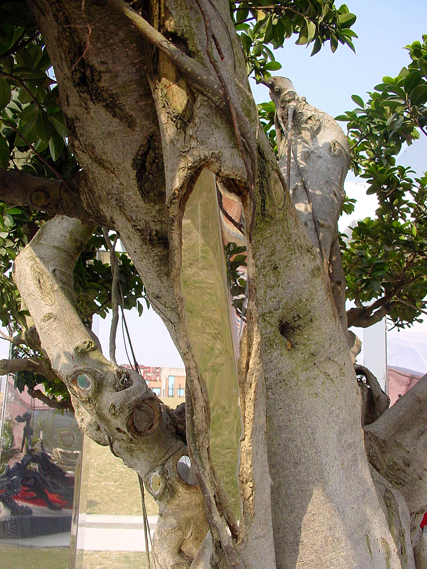 ķ羰ֲʣ֣ߴ磺180cmX80cmX210cm2007